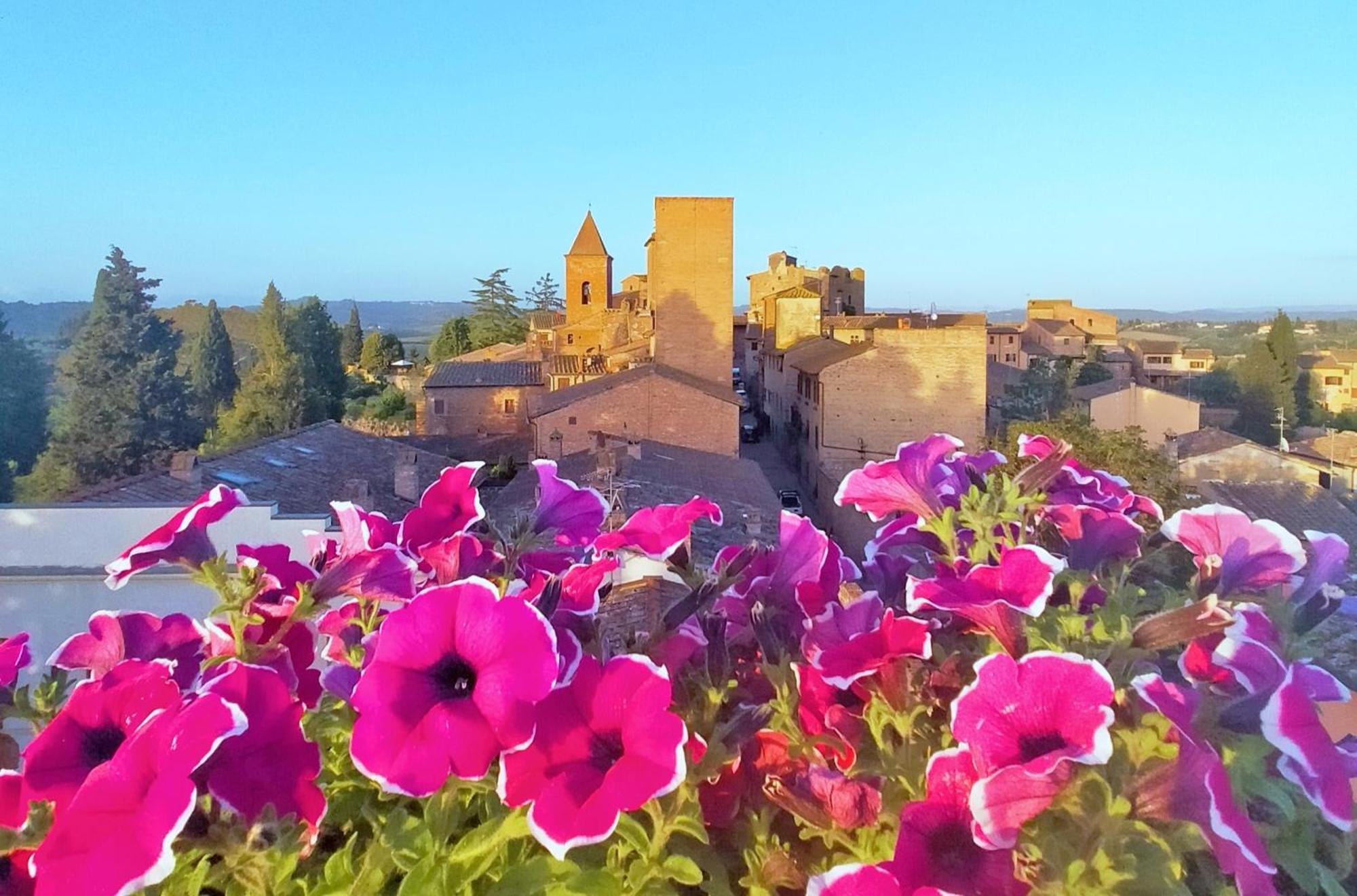 Appartamento Palazzo Stiozzi Ridolfi Certaldo Esterno foto