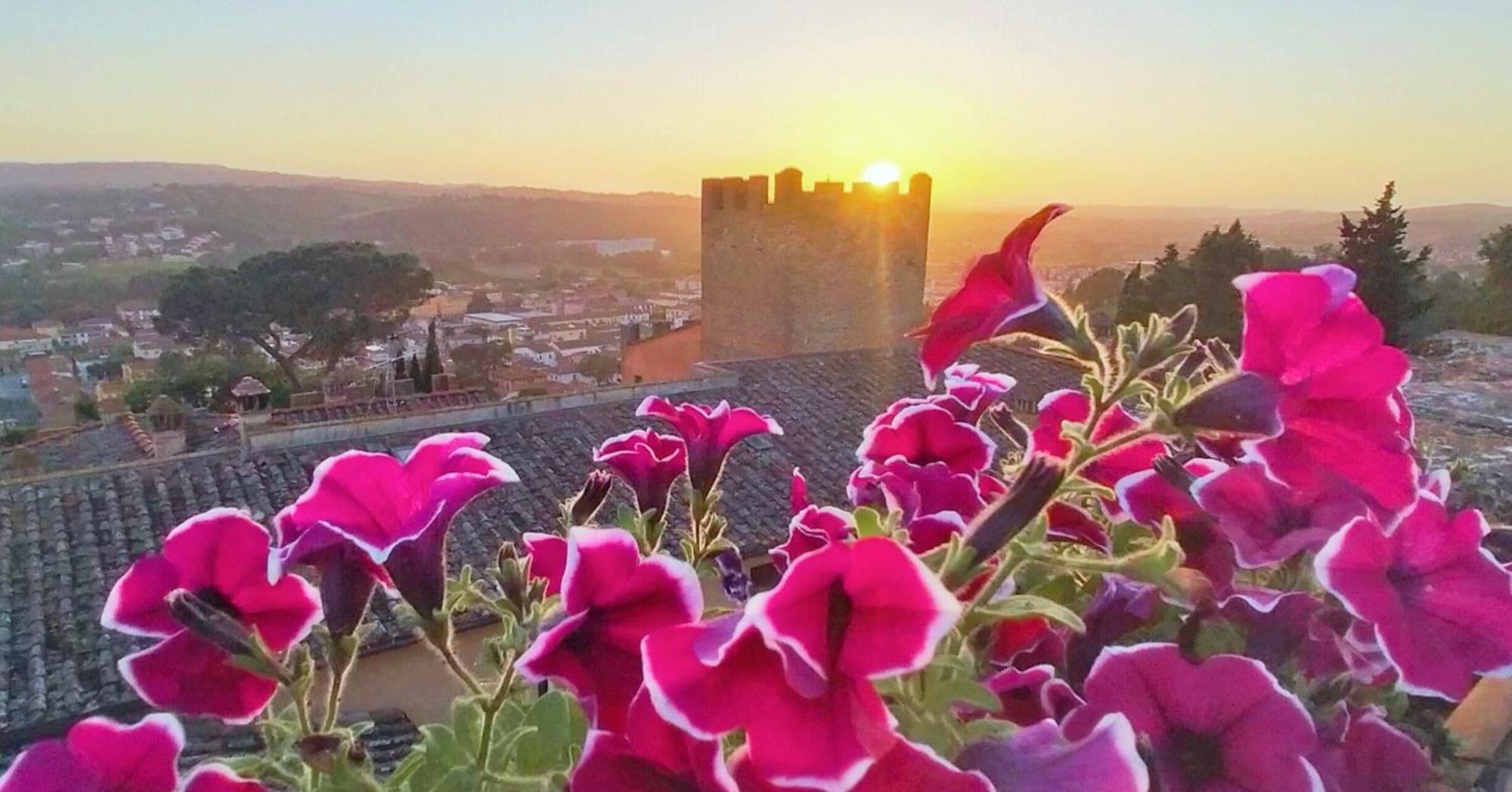 Appartamento Palazzo Stiozzi Ridolfi Certaldo Esterno foto