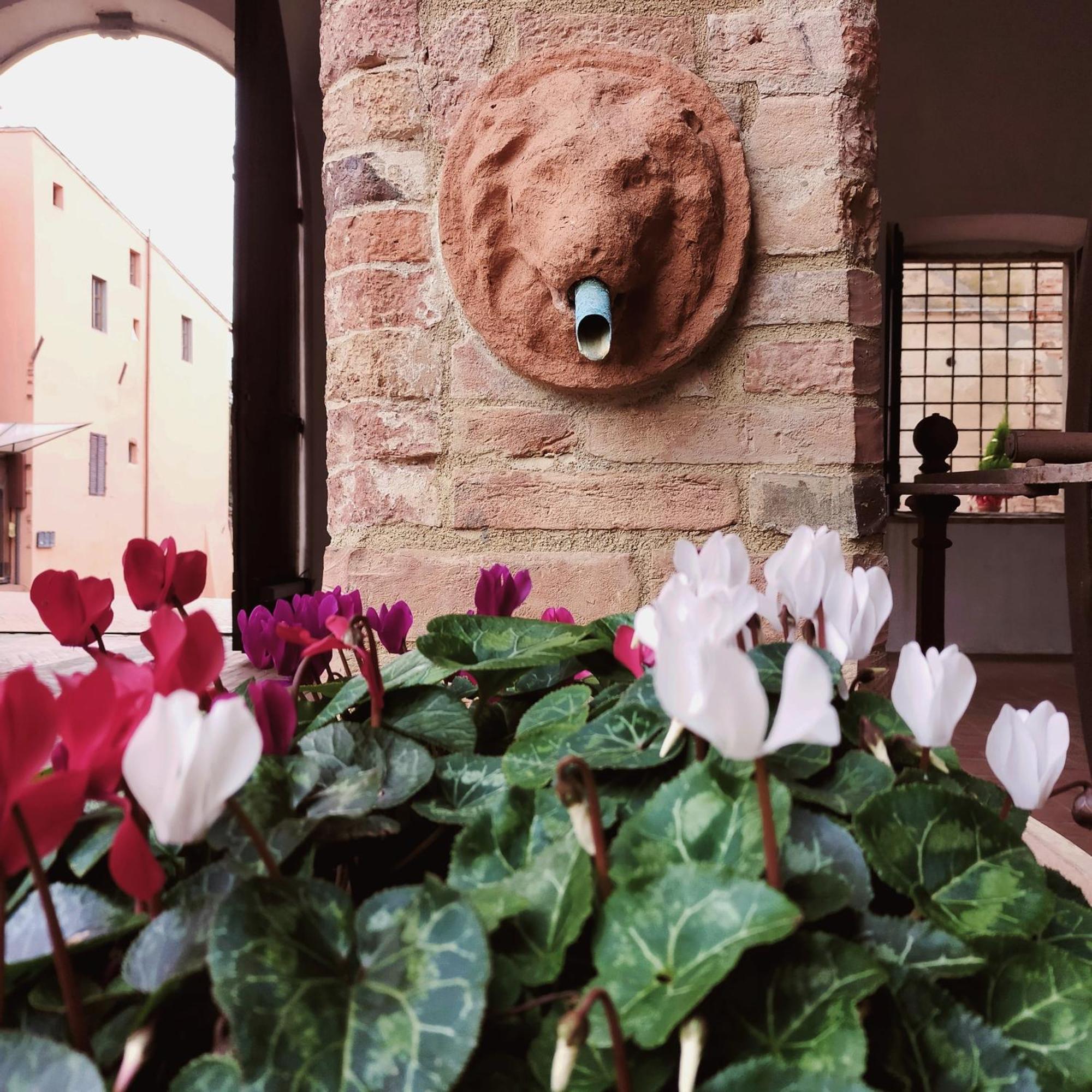 Appartamento Palazzo Stiozzi Ridolfi Certaldo Esterno foto