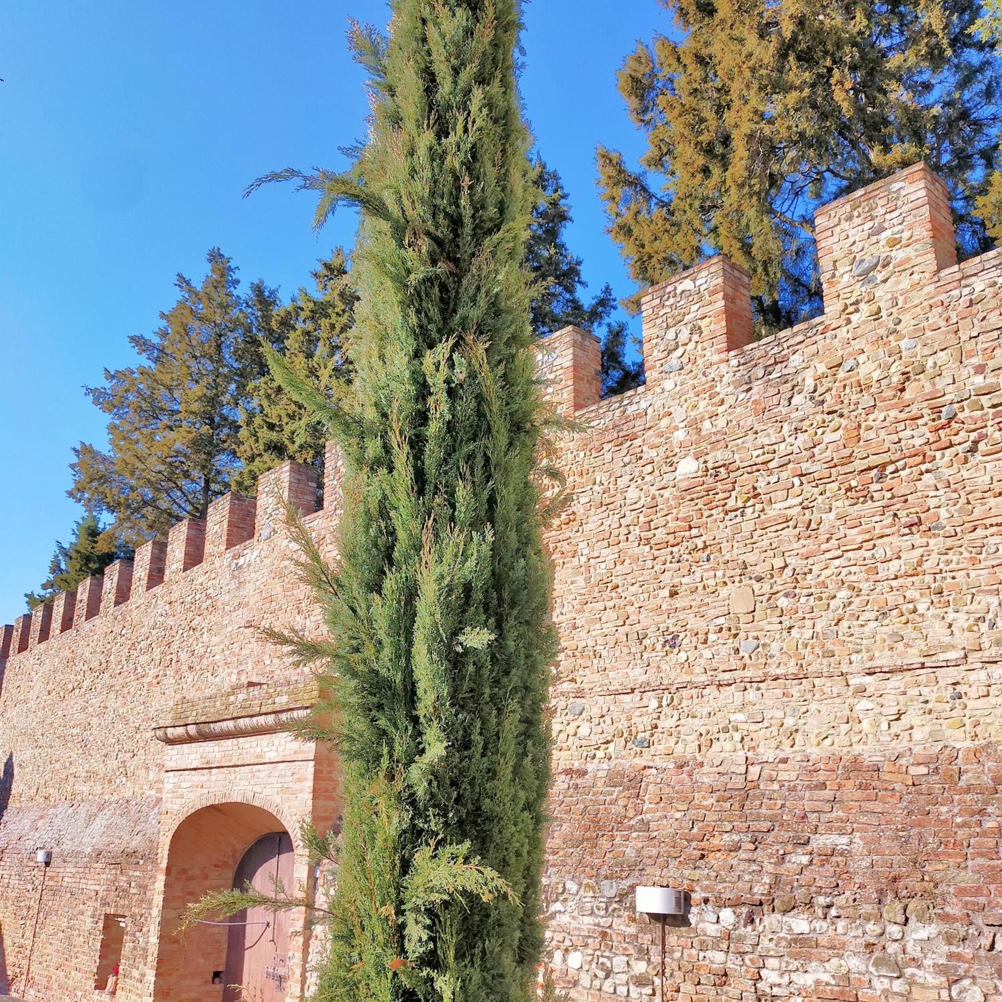 Appartamento Palazzo Stiozzi Ridolfi Certaldo Esterno foto